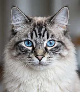 Марина