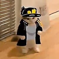 Данил Якунин