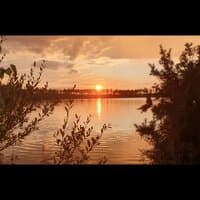 Анастасия Степанова